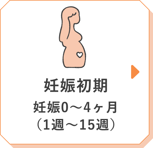 妊娠初期 妊娠0〜4ヶ月（1週〜15週）